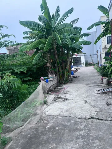 Bất động sản tại Hải Phòng - ảnh 1