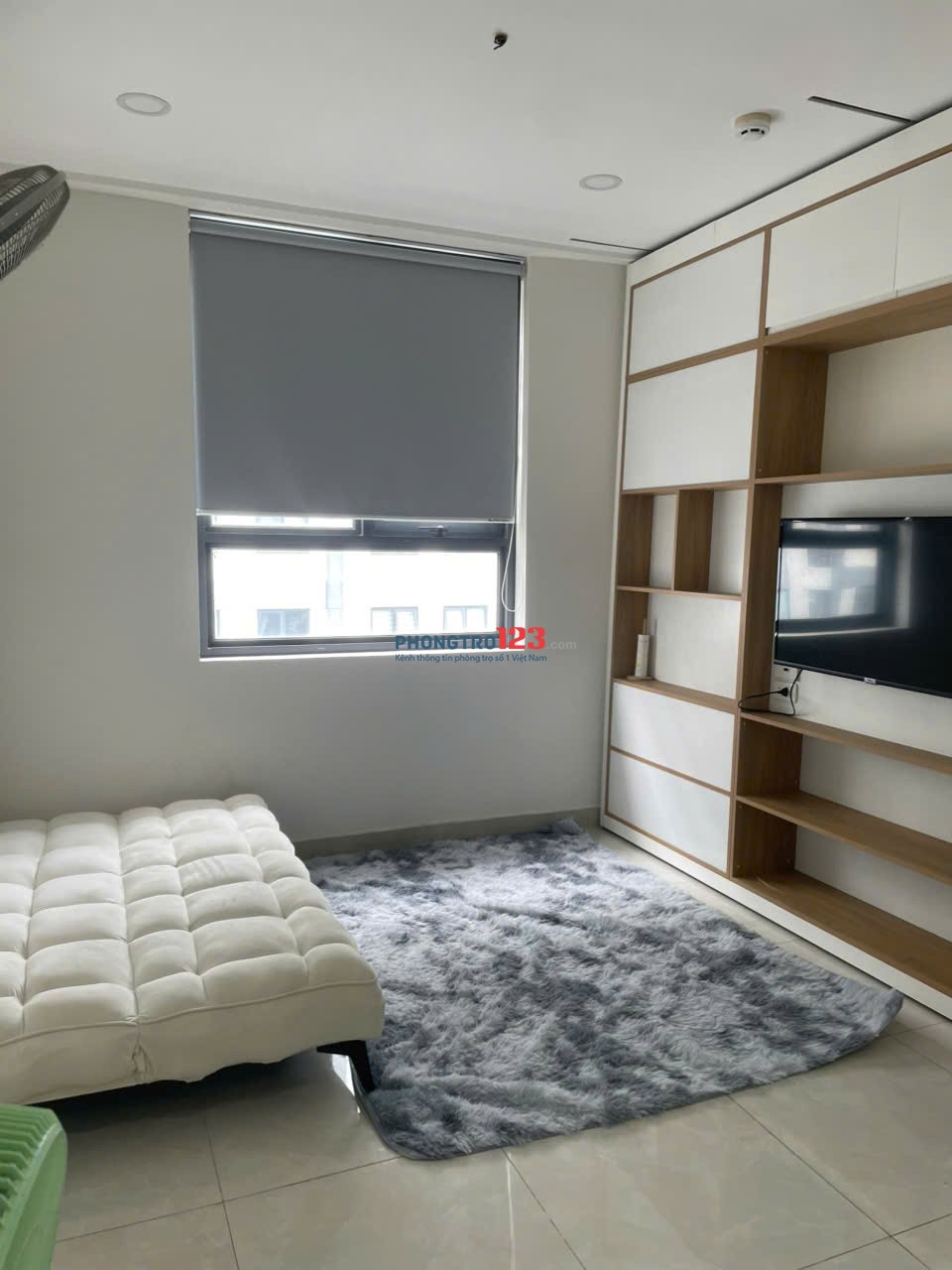 Bất động sản tại TP. Hồ Chí Minh - ảnh 1