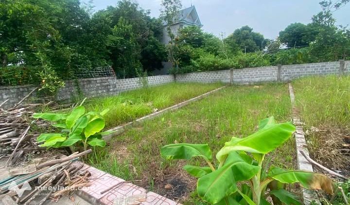 Bất động sản tại Hải Phòng - ảnh 1