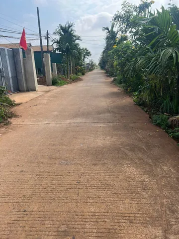 Bất động sản tại Đắk Lắk - ảnh 1