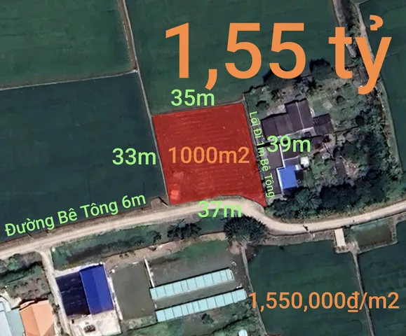 Bất động sản tại Tây Ninh - ảnh 1