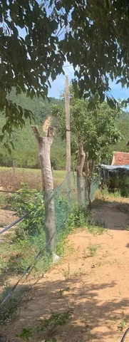 Bất động sản tại Gia Lai - ảnh 1