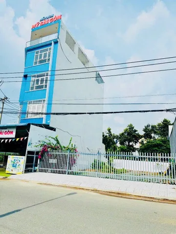 Bất động sản tại Bình Dương - ảnh 1