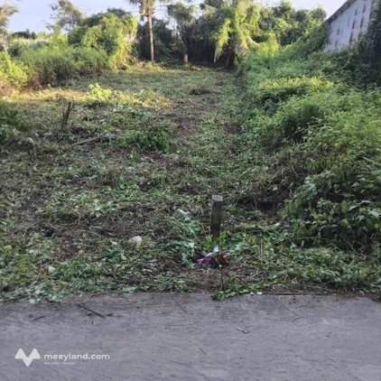 Bất động sản tại Bạc Liêu - ảnh 1