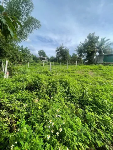 Bất động sản tại Đắk Lắk - ảnh 1