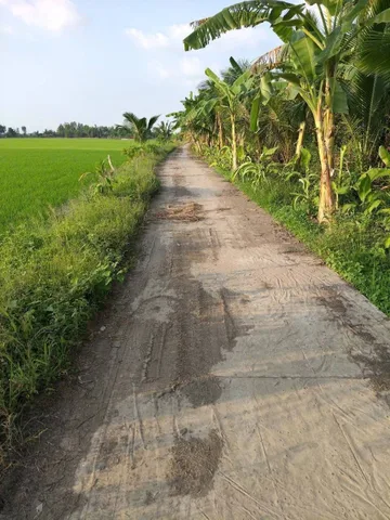 Bất động sản tại An Giang - ảnh 1