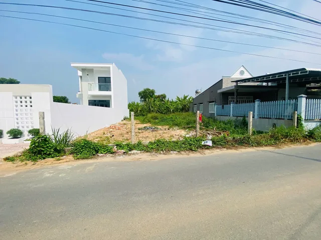 Bất động sản tại Bình Dương - ảnh 1