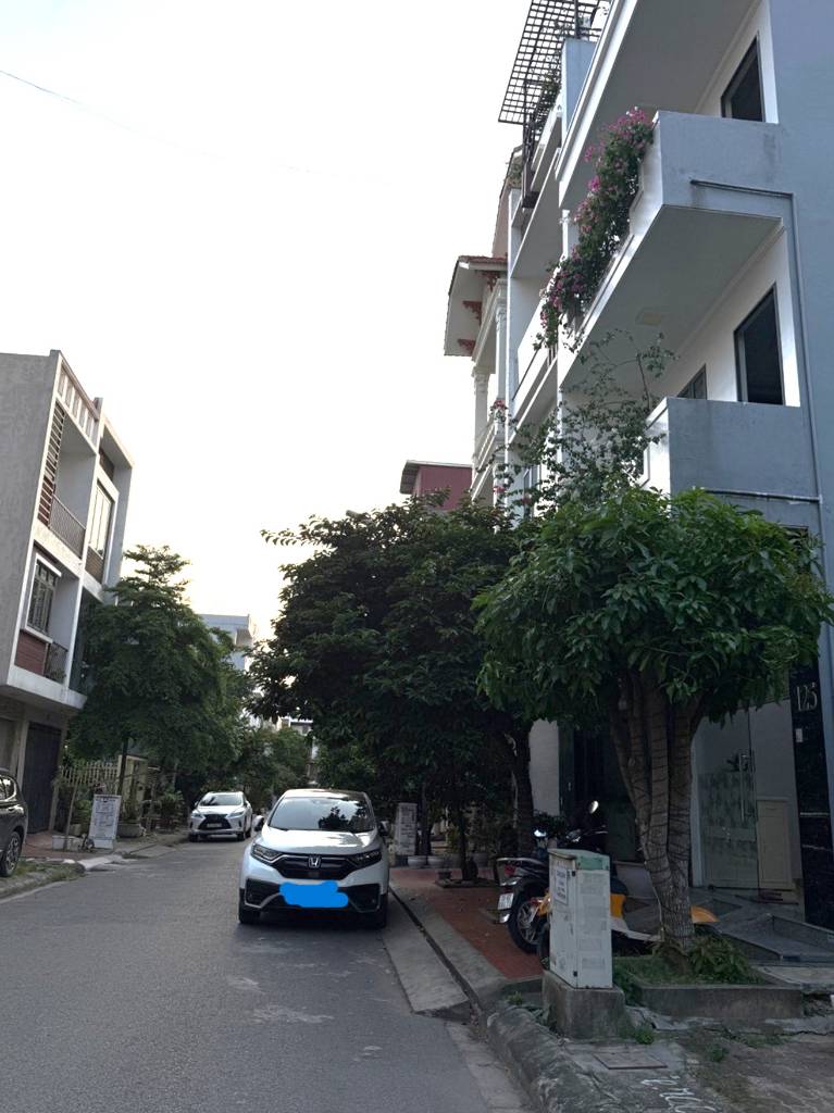 Bất động sản tại Hải Phòng - ảnh 1