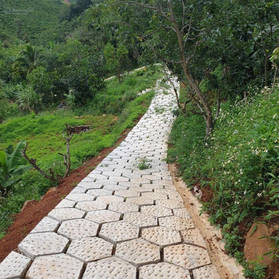 Bất động sản tại Lâm Đồng - ảnh 1