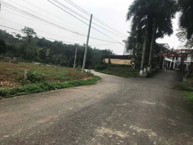 Bất động sản tại Phú Thọ - ảnh 1
