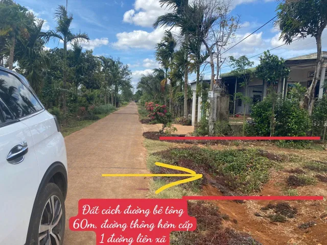 Bất động sản tại Đắk Lắk - ảnh 1