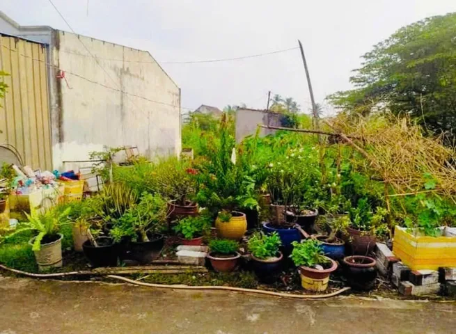Bất động sản tại Bình Dương - ảnh 1