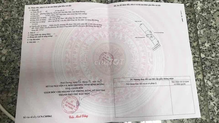 Bất động sản tại Bình Dương - ảnh 1