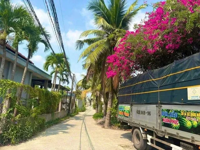 Bất động sản tại Long An - ảnh 1