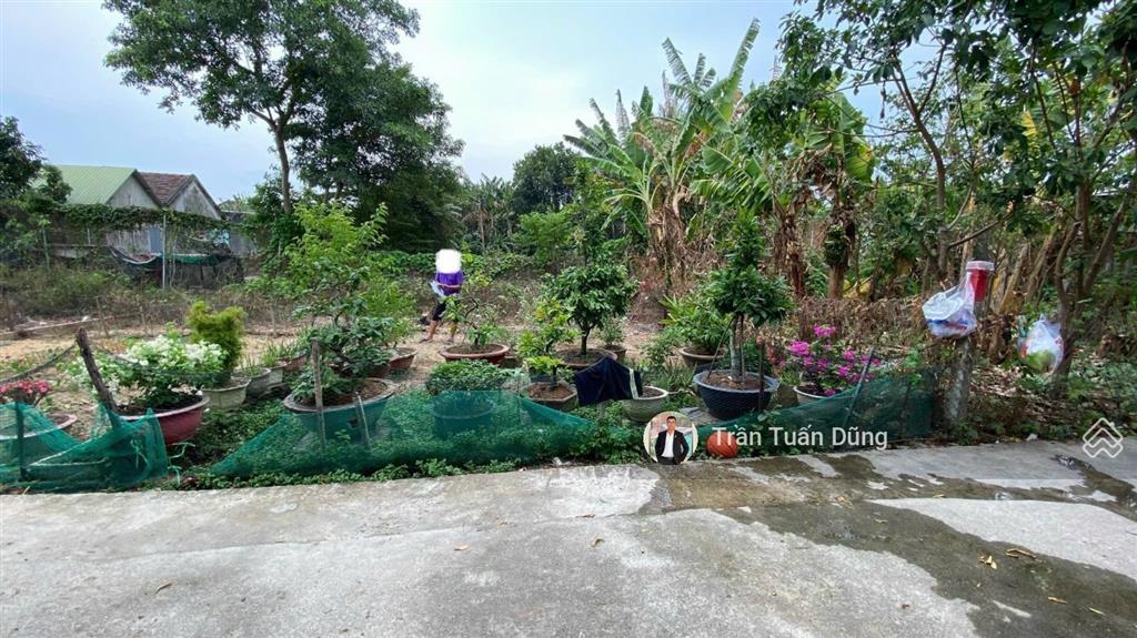 Bất động sản tại Khánh Hòa - ảnh 1