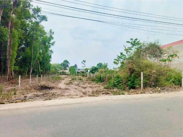 Bất động sản tại Bình Dương - ảnh 1