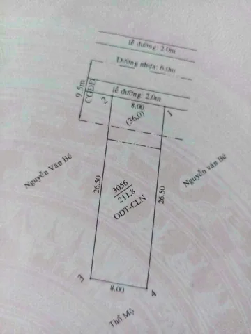 Bất động sản tại Bình Dương - ảnh 1