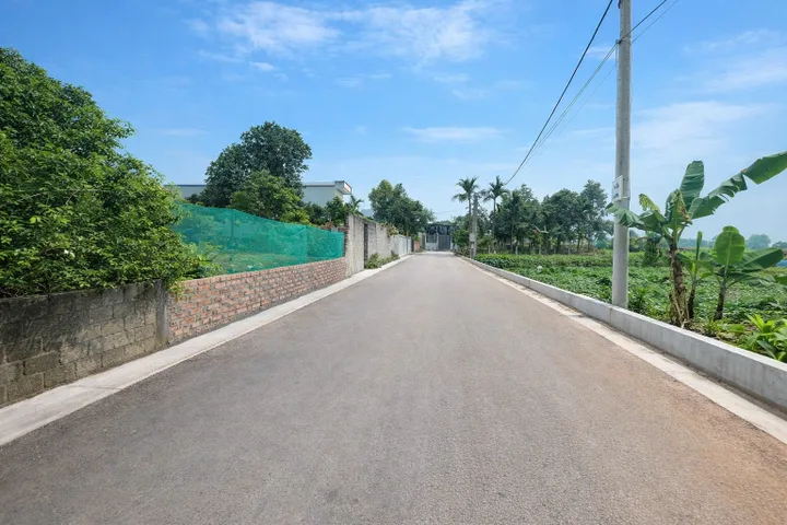 Bất động sản tại Phú Thọ - ảnh 1