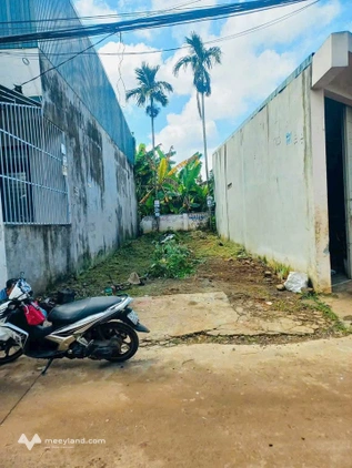 Bất động sản tại Đắk Lắk - ảnh 1