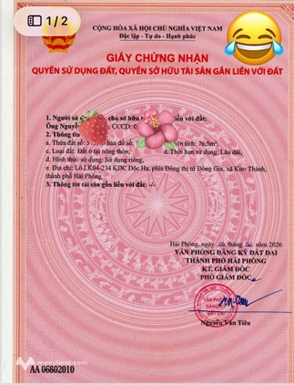 Bất động sản tại Hải Dương - ảnh 1