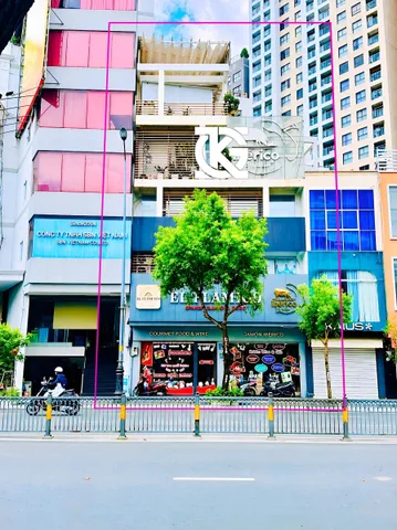 Bất động sản tại TP. Hồ Chí Minh - ảnh 1