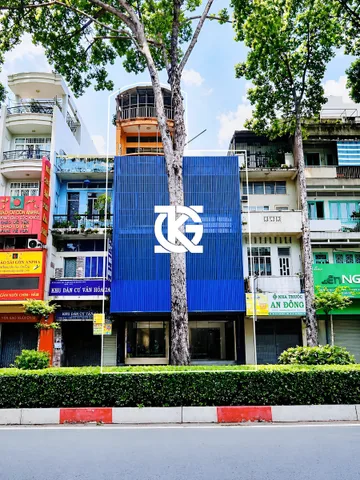 Bất động sản tại TP. Hồ Chí Minh - ảnh 1