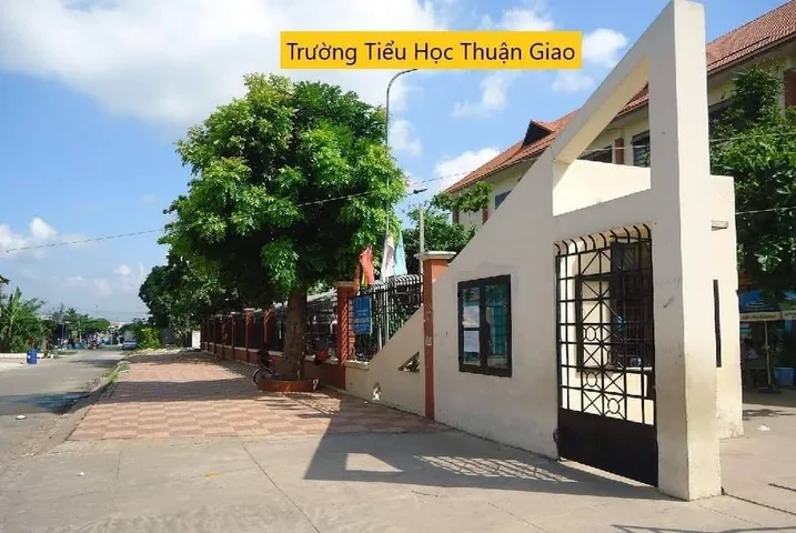 Bất động sản tại Bình Dương - ảnh 1