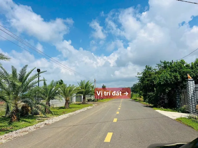 Bất động sản tại Bình Dương - ảnh 1