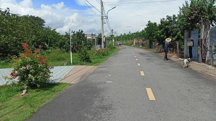 Bất động sản tại Bình Dương - ảnh 1