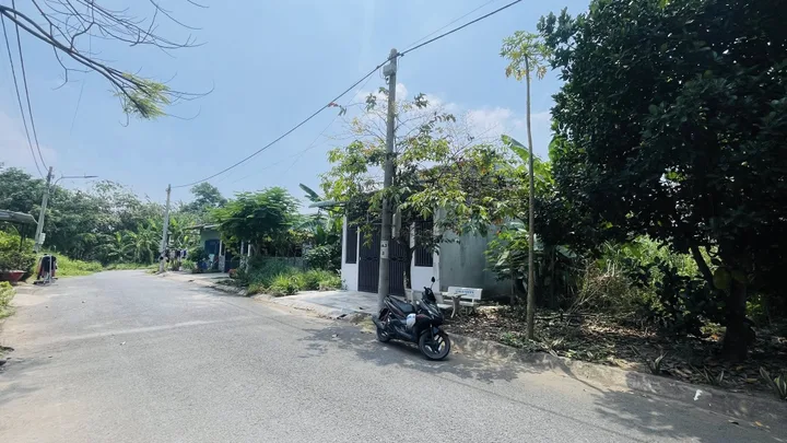 Bất động sản tại Long An - ảnh 1