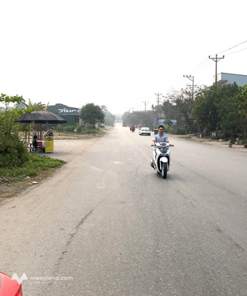 Bất động sản tại Phú Thọ - ảnh 1