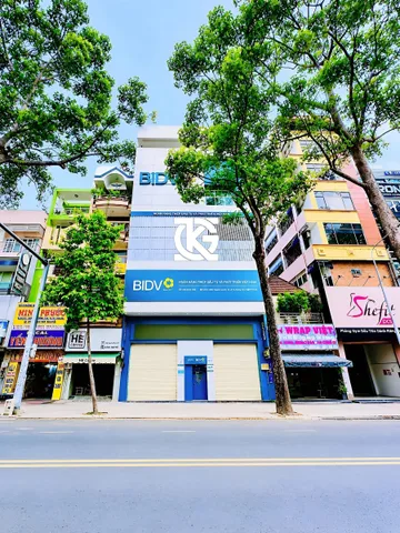 Bất động sản tại TP. Hồ Chí Minh - ảnh 1
