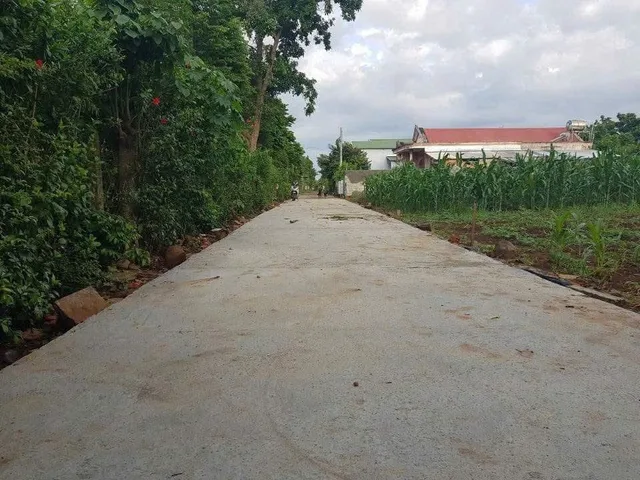 Bất động sản tại Đắk Lắk - ảnh 1
