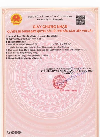 Bất động sản tại Bình Dương - ảnh 1