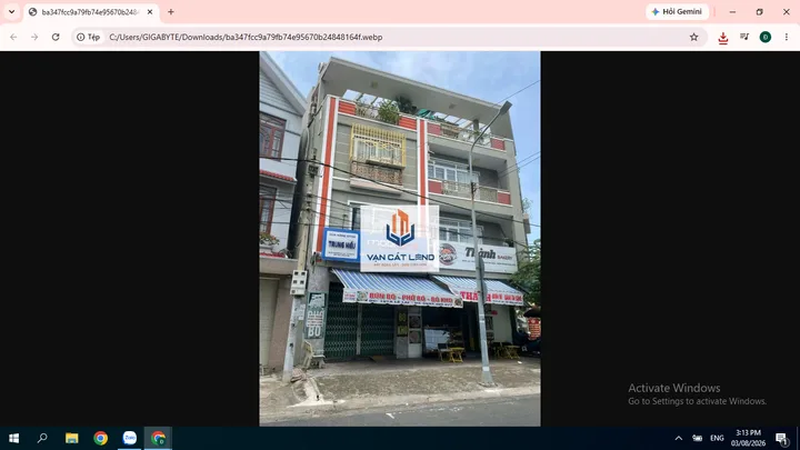 Bất động sản tại TP. Hồ Chí Minh - ảnh 1