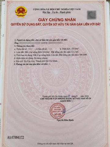 Bất động sản tại TP. Hồ Chí Minh - ảnh 1