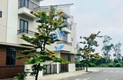Bất động sản tại Hải Phòng - ảnh 1