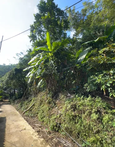 Bất động sản tại Thanh Hóa - ảnh 1