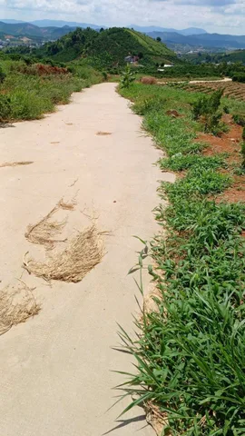 Bất động sản tại Lâm Đồng - ảnh 1