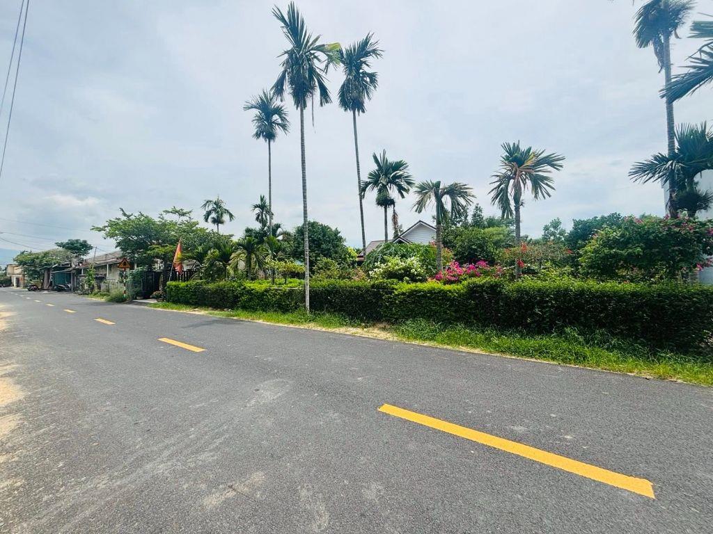 Bất động sản tại Đà Nẵng - ảnh 1