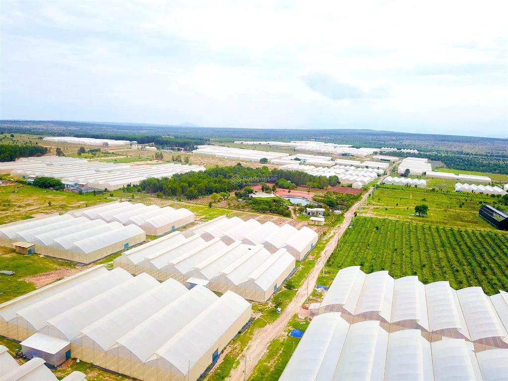 Bất động sản tại Bình Thuận - ảnh 1
