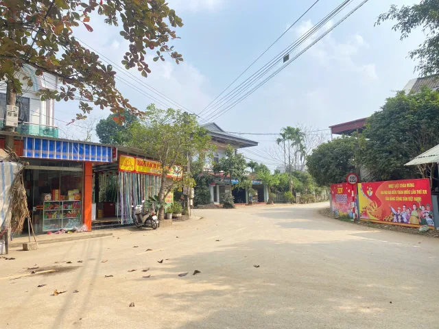 Bất động sản tại Phú Thọ - ảnh 1