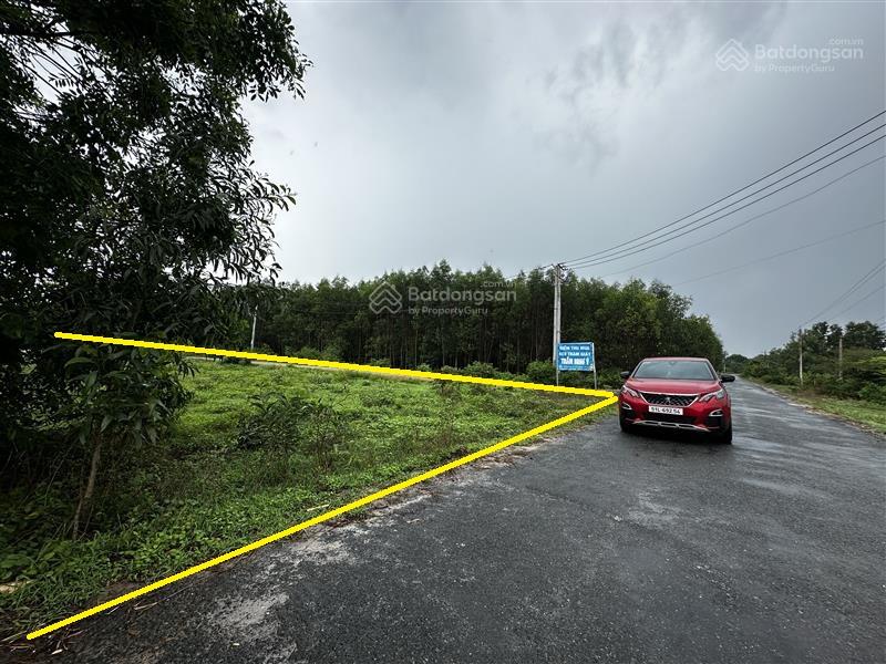 Bất động sản tại Bình Thuận - ảnh 1
