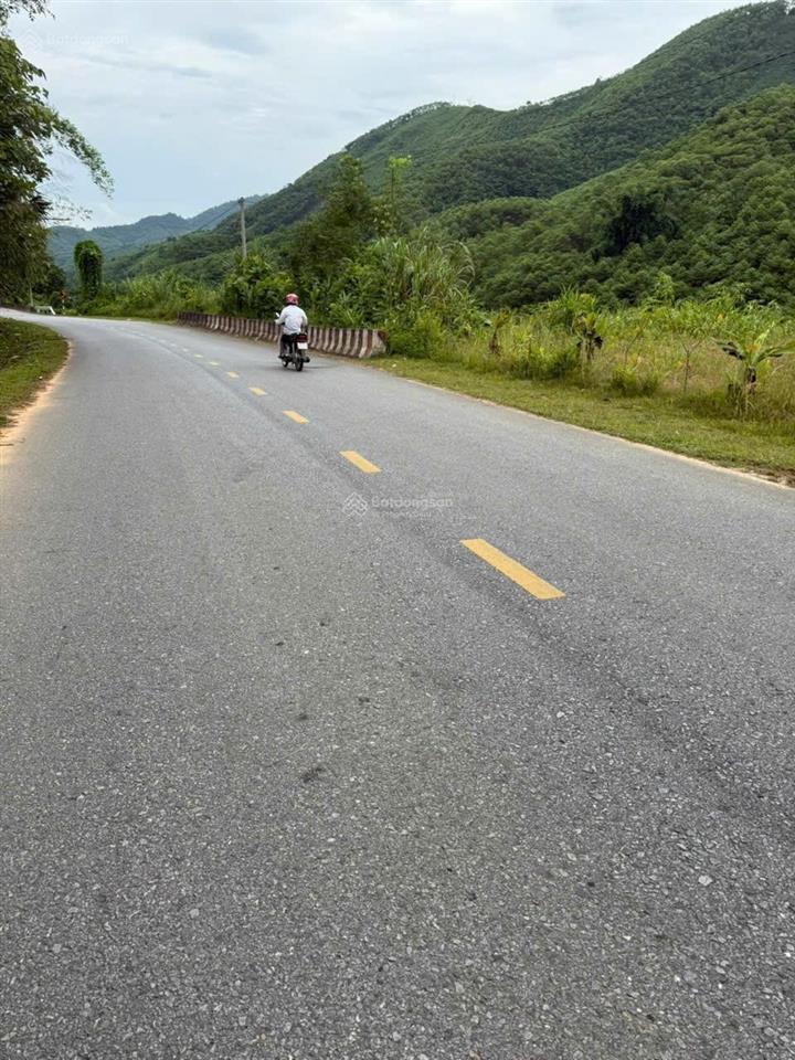 Bất động sản tại Phú Thọ - ảnh 1