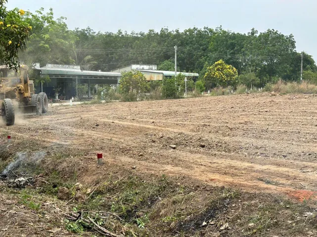 Bất động sản tại TP. Hồ Chí Minh - ảnh 1