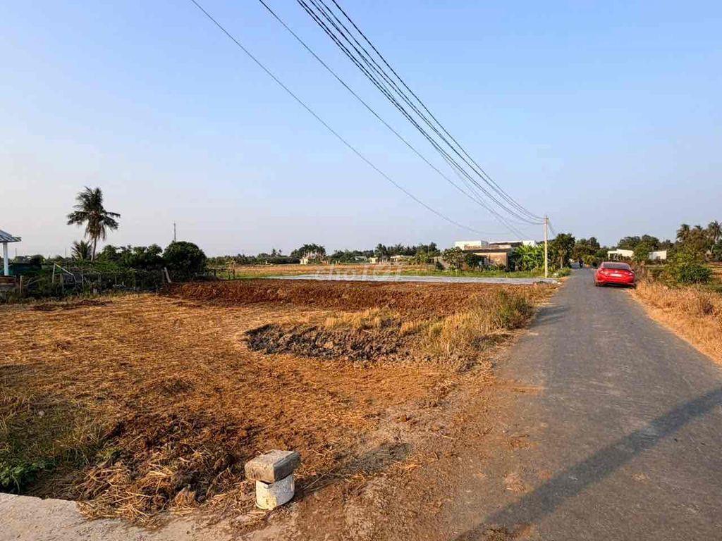 Bất động sản tại Long An - ảnh 1