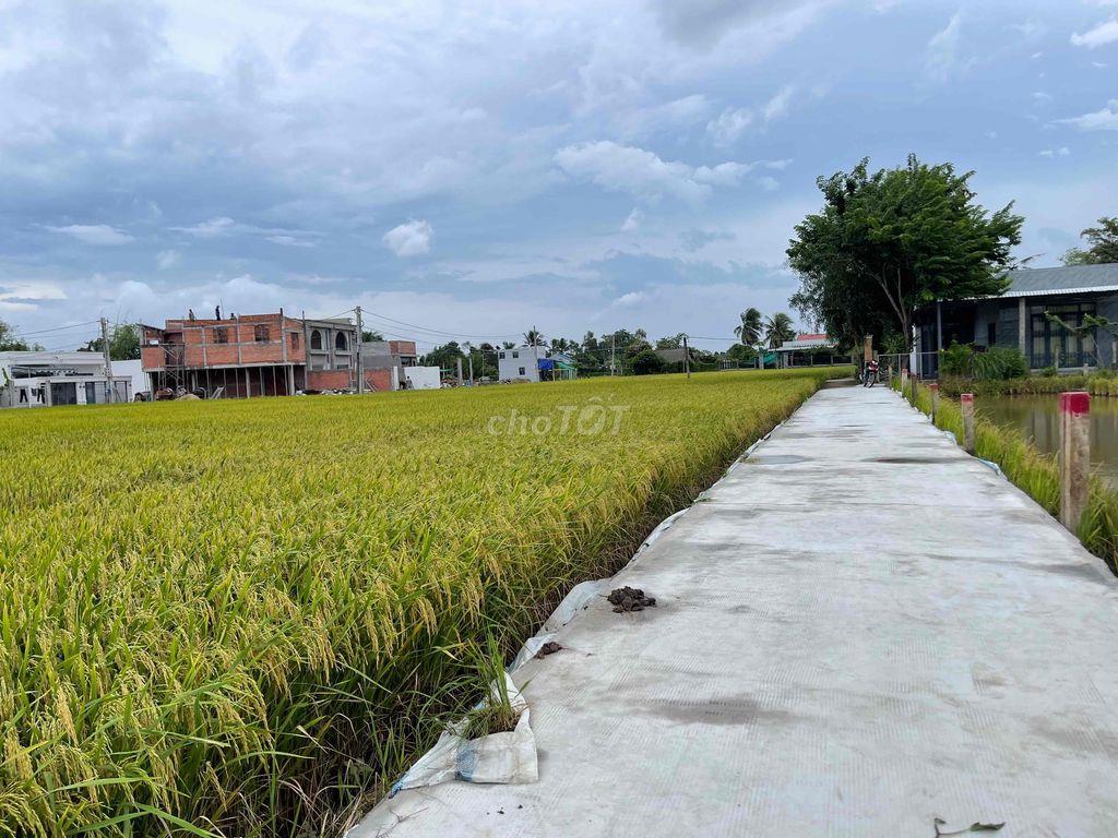 Bất động sản tại Long An - ảnh 1