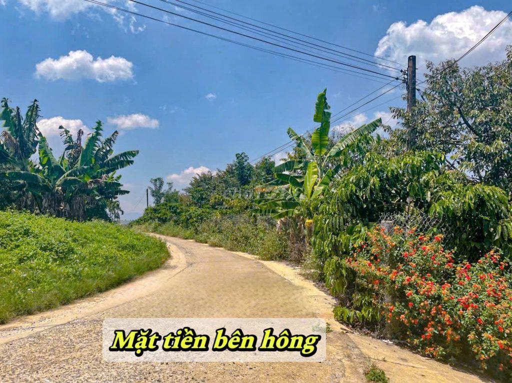Bất động sản tại Lâm Đồng - ảnh 1