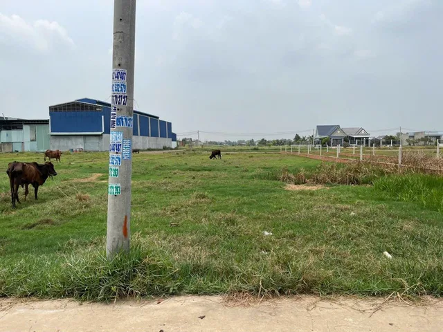 Bất động sản tại Tây Ninh - ảnh 1