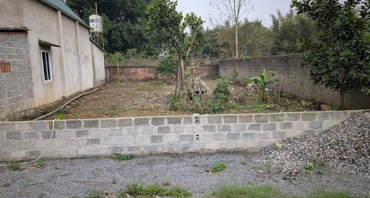 Bất động sản tại Phú Thọ - ảnh 1